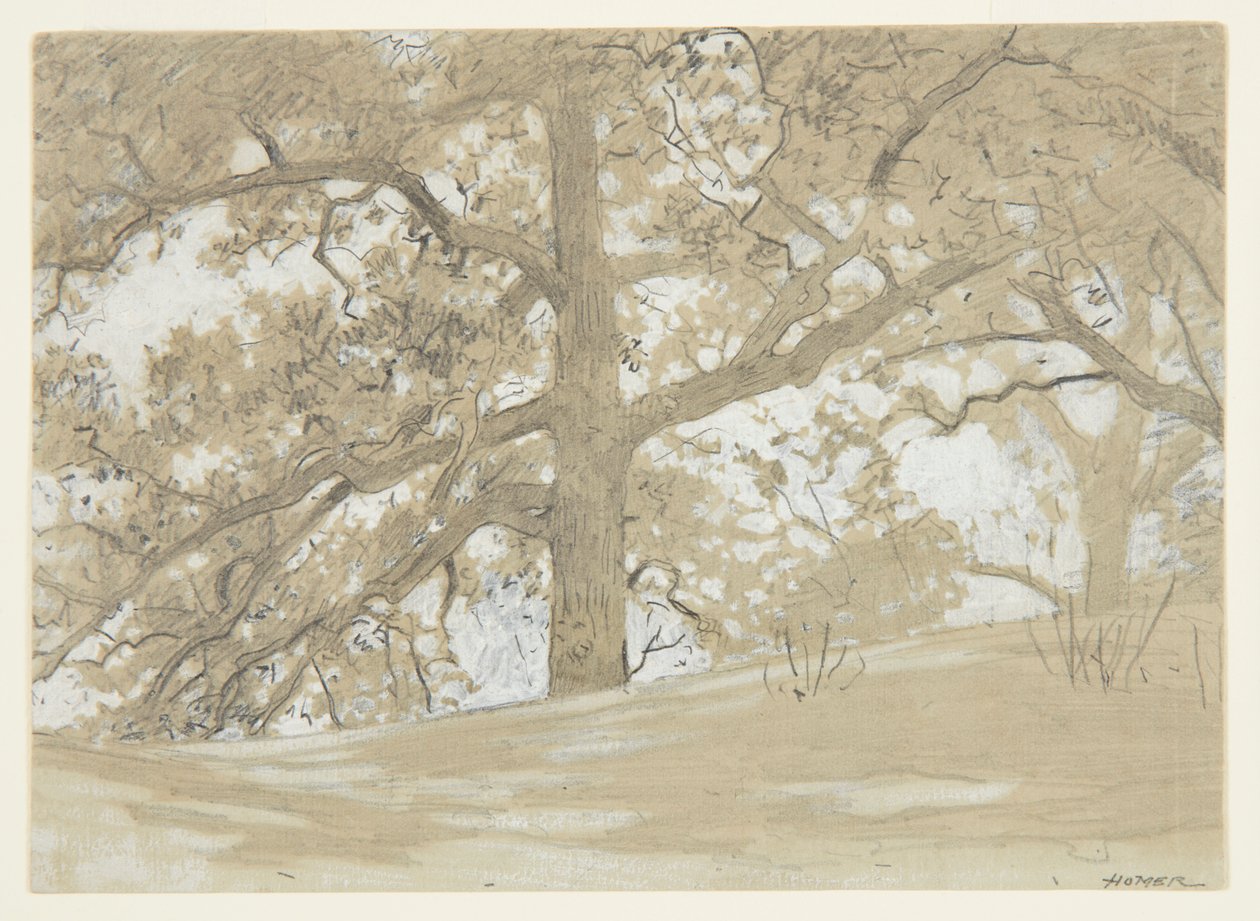 Waverly Oaks tekijältä Winslow Homer