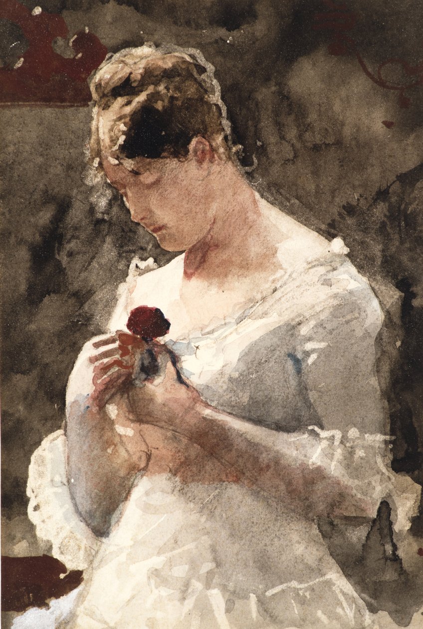 Nainen ruusun kanssa, 1879 tekijältä Winslow Homer