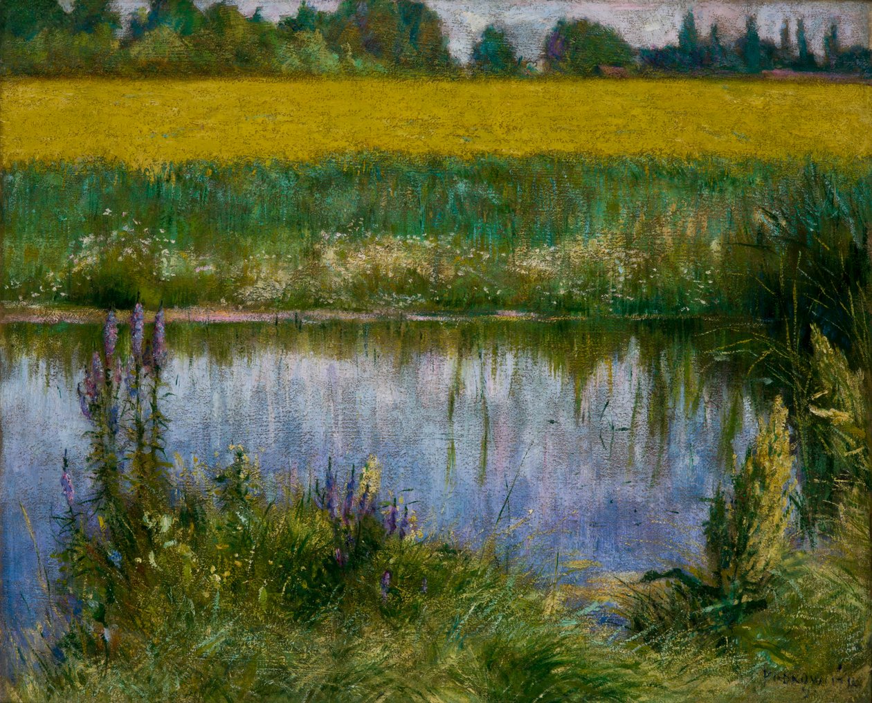 Campo de Lupinfinlandesa tekijältä Wladyslaw Podkowinski