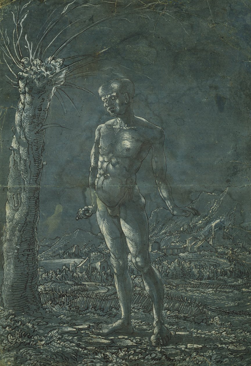 Pysyvä alaston mies maisemassa, n. 1512 (kynä ja musta muste, jossa valkoinen korostus paperilla) tekijältä Wolf Huber