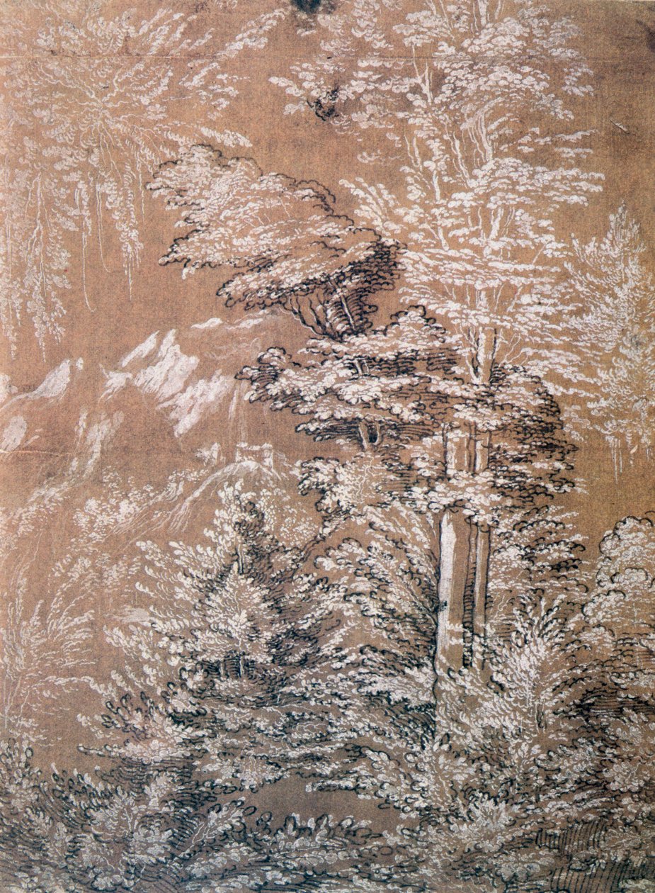 Puututkimus, 1519 tekijältä Wolf Huber