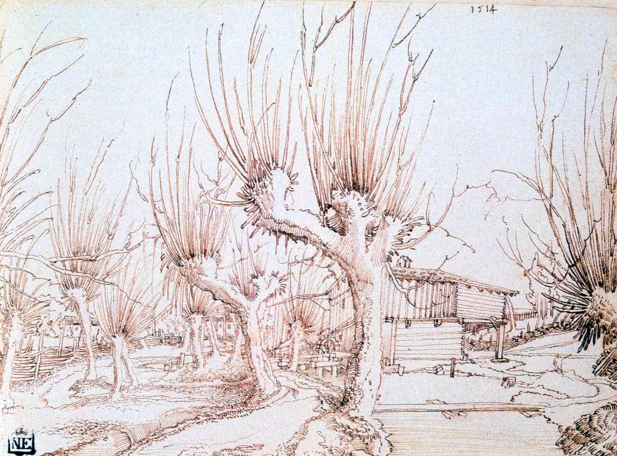 Willow Plantation, 1514 tekijältä Wolf Huber