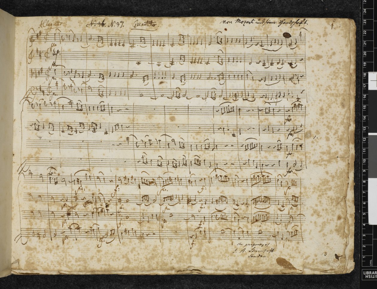 Lisää MS 37764 f.1 Jousikvartetto D-duuri, K. 499 tekijältä Wolfgang Amadeus Mozart