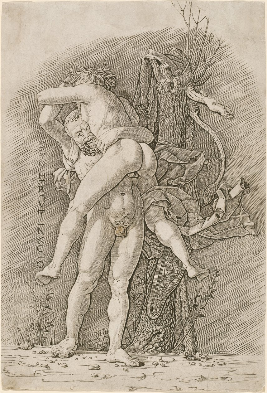 Hercules ja Antaeus tekijältä Workshop of Andrea Mantegna