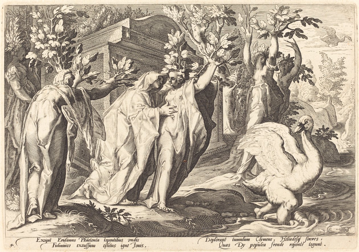 Phaetonin sisaret muuttuivat poppeleiksi, Cygnus joutseneksi tekijältä Workshop of Hendrick Goltzius, after Hendrick Goltzius
