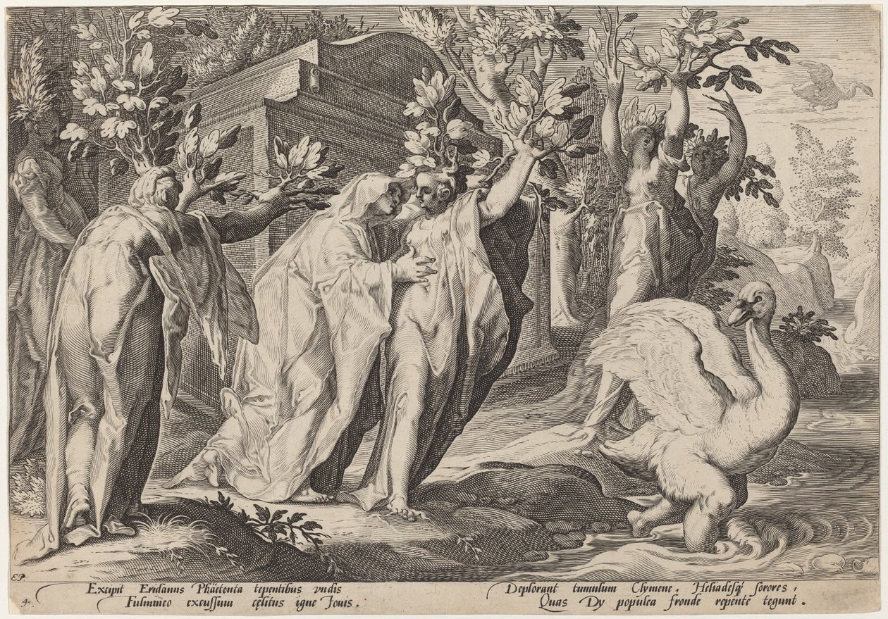 Phaetonin sisaret muuttuivat poppeleiksi ja Cygnus joutseneksi tekijältä Workshop of Hendrick Goltzius, after Hendrick Goltzius