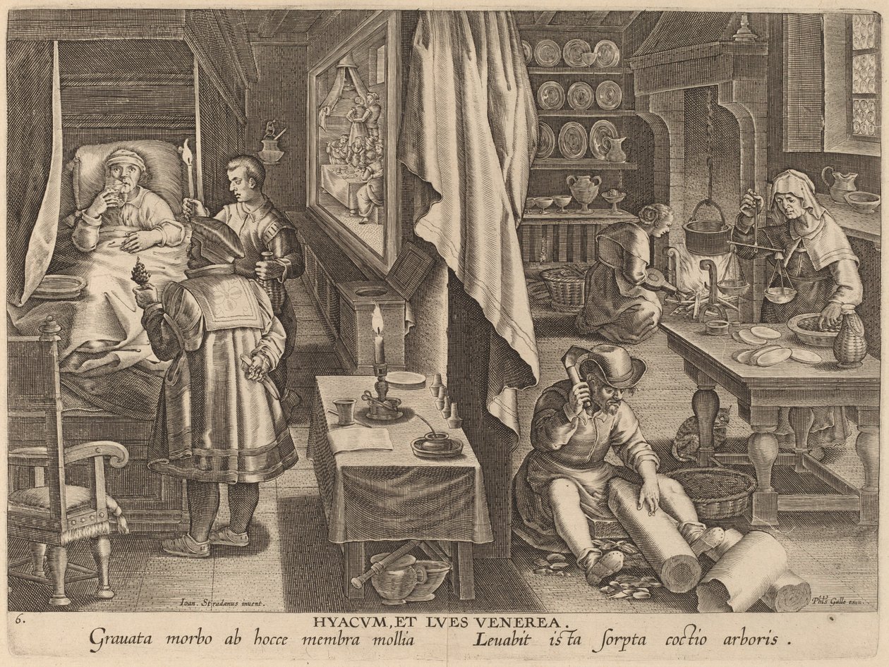 Guaiacum ja sukupuolitulehdus tekijältä Workshop of Philip Galle after Jan van der Straet