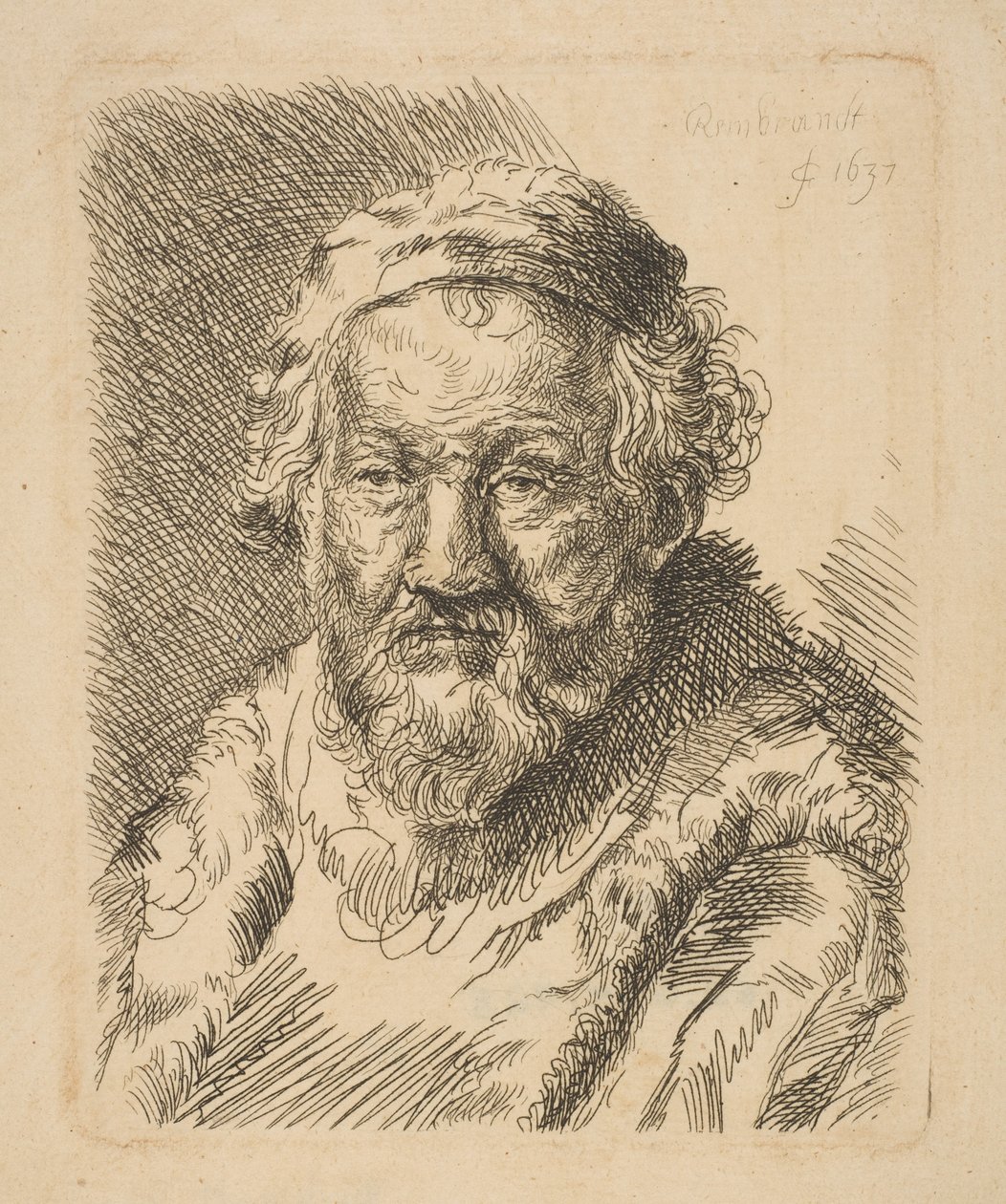 Takki- ja turkiskaulus vanhan miehen rintakuva copy.n.d. tekijältä Workshop of Rembrandt