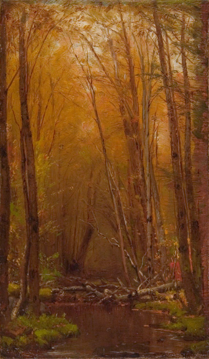 Catskills-koivut, n. 1875. tekijältä Worthington Whittredge