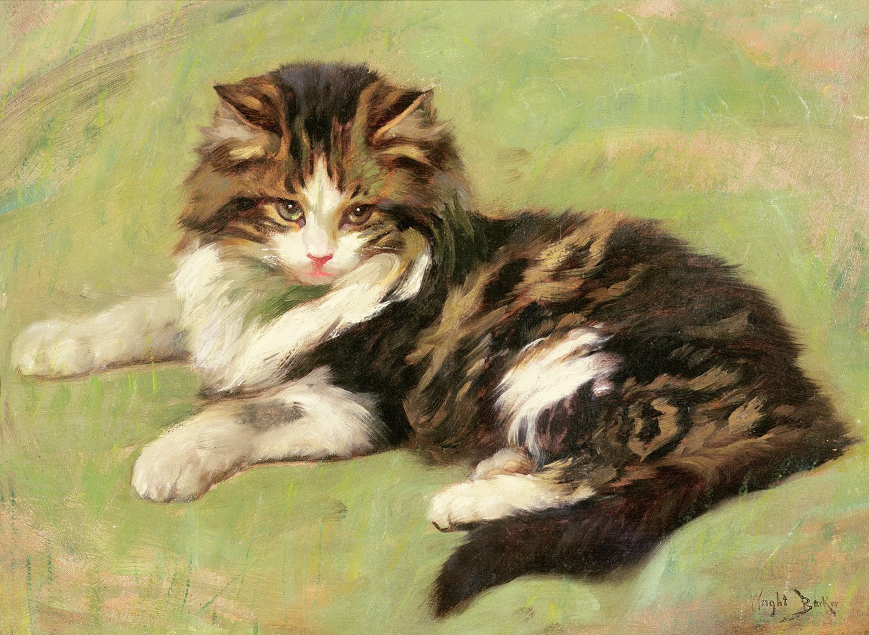 Pysähdyksissä tekijältä Wright Barker