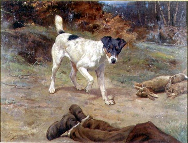 Jack Russell kaninkolossa tekijältä Wright Barker