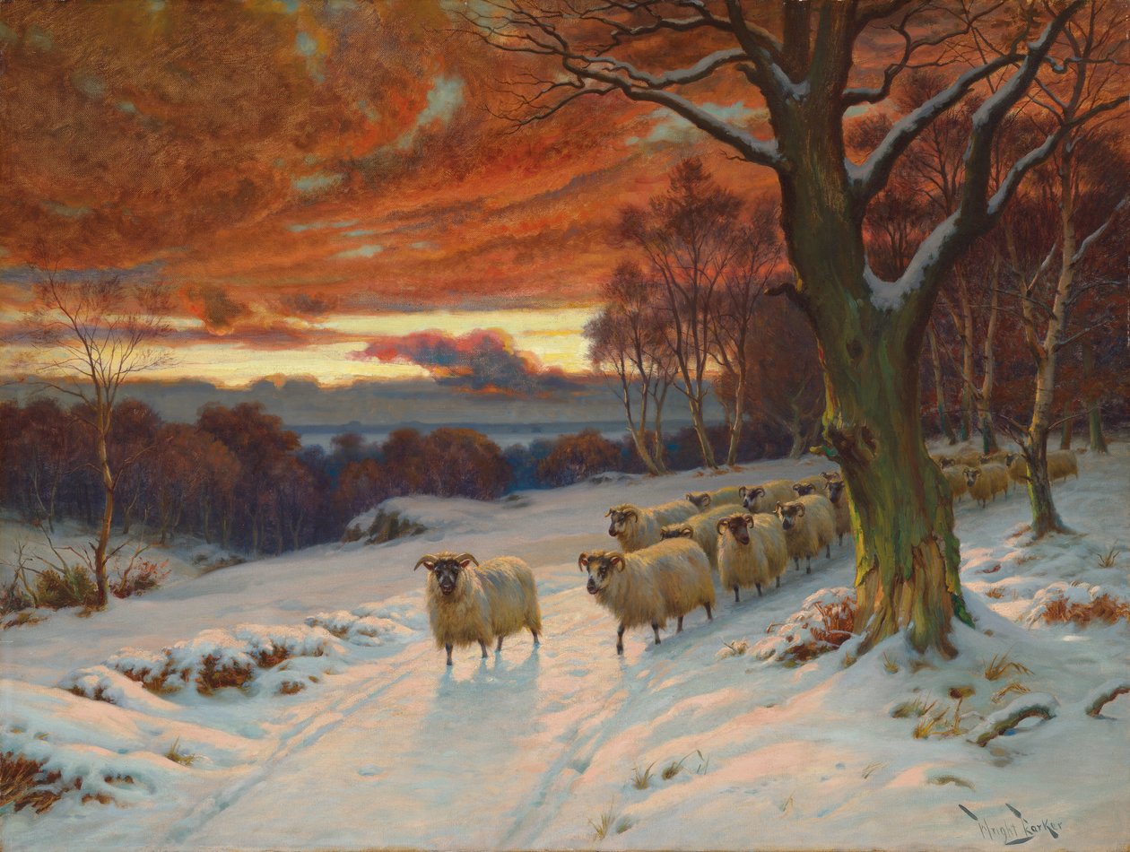  tekijältä Wright Barker