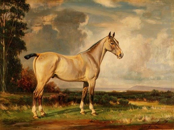 Peacockin muotokuva tekijältä Wright Barker