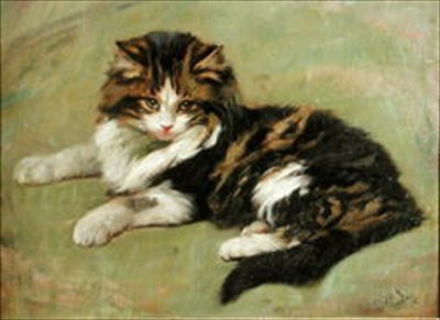 Kissan tutkimus (öljyä aluksella) tekijältä Wright Barker