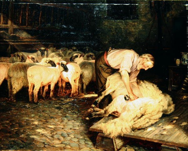 The Shearer (öljy kankaalle) tekijältä Wright Barker