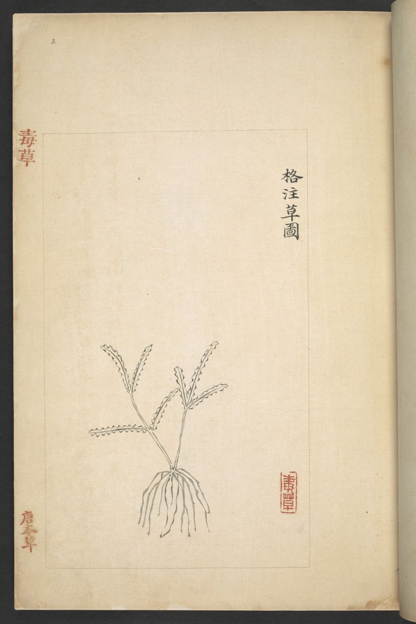 Tai 13347 B f.2r Plan 