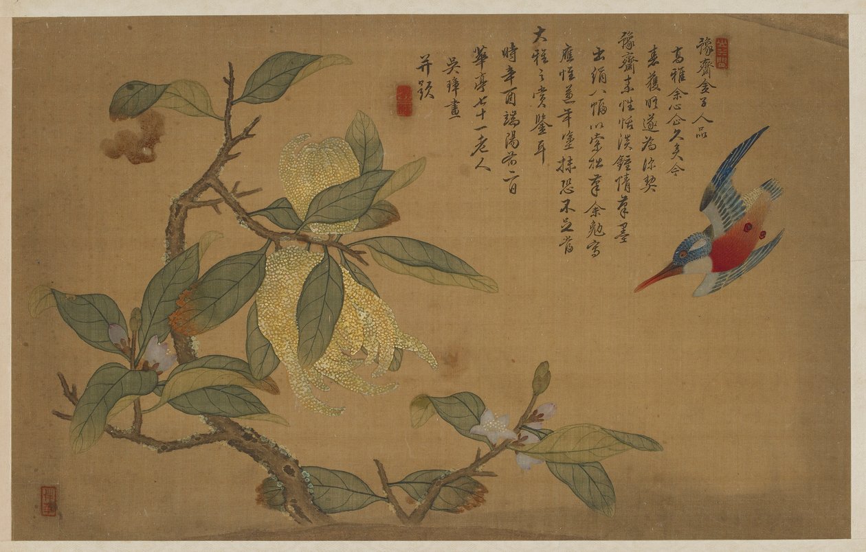 Lintu, hedelmät ja kukat, Qing-dynastia, 1741. tekijältä Wu Zhang