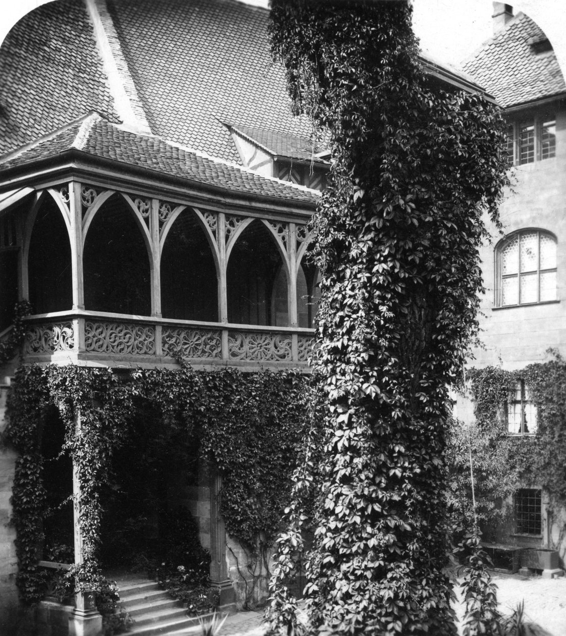 Lime puu pihalla, Nürnberg, Baijeri, Saksa, 1900-luku. tekijältä Wurthle and Sons