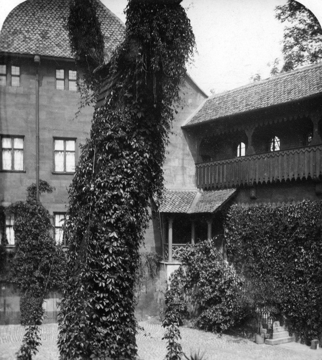 Lime puu pihalla, Nürnberg, Baijeri, Saksa, 1900-luku. tekijältä Wurthle and Sons