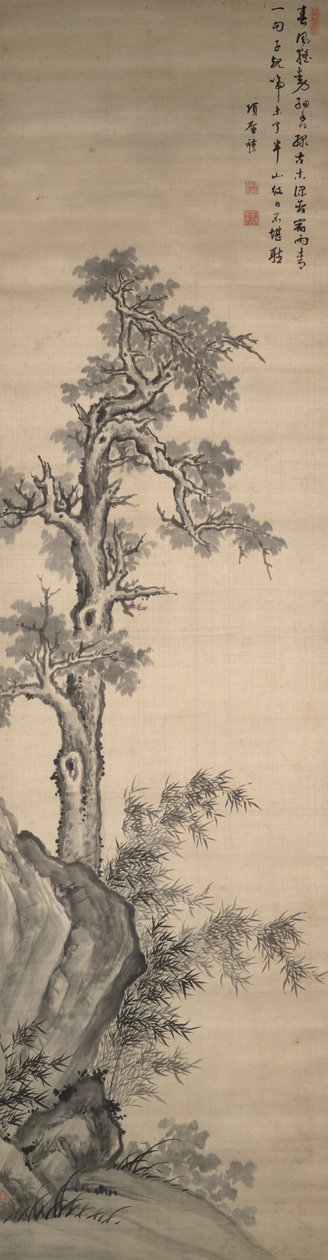 Wutong Tree, Bamboo ja Rock tekijältä Xiang Shengmo