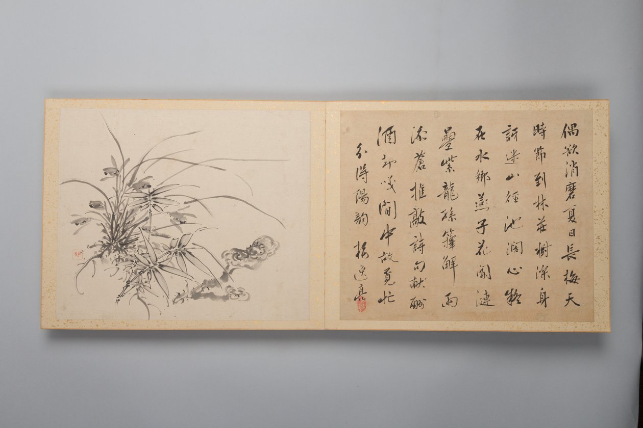 Hienostunutta eleganssia neljässä vuodenajassa Shiji seiga, Flower Paintings -albumi, 1844. tekijältä Yamamoto Baiitsu