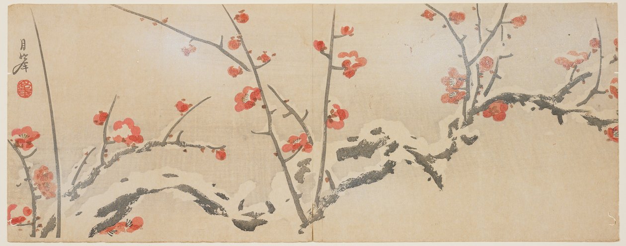 Kukkivat luumut lumessa, n.1818-29 (värillinen puupalikkaprintti) tekijältä Yamaoka Gepp