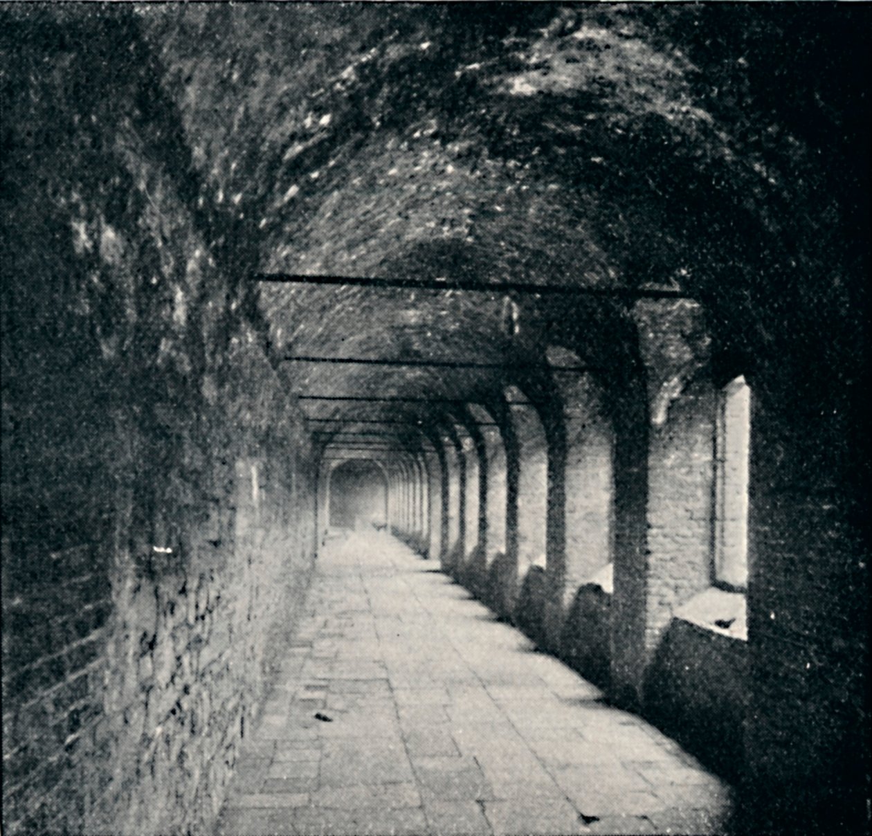 The Cloisters, Charterhouse, Lontoo, 1903 tekijältä York and Son