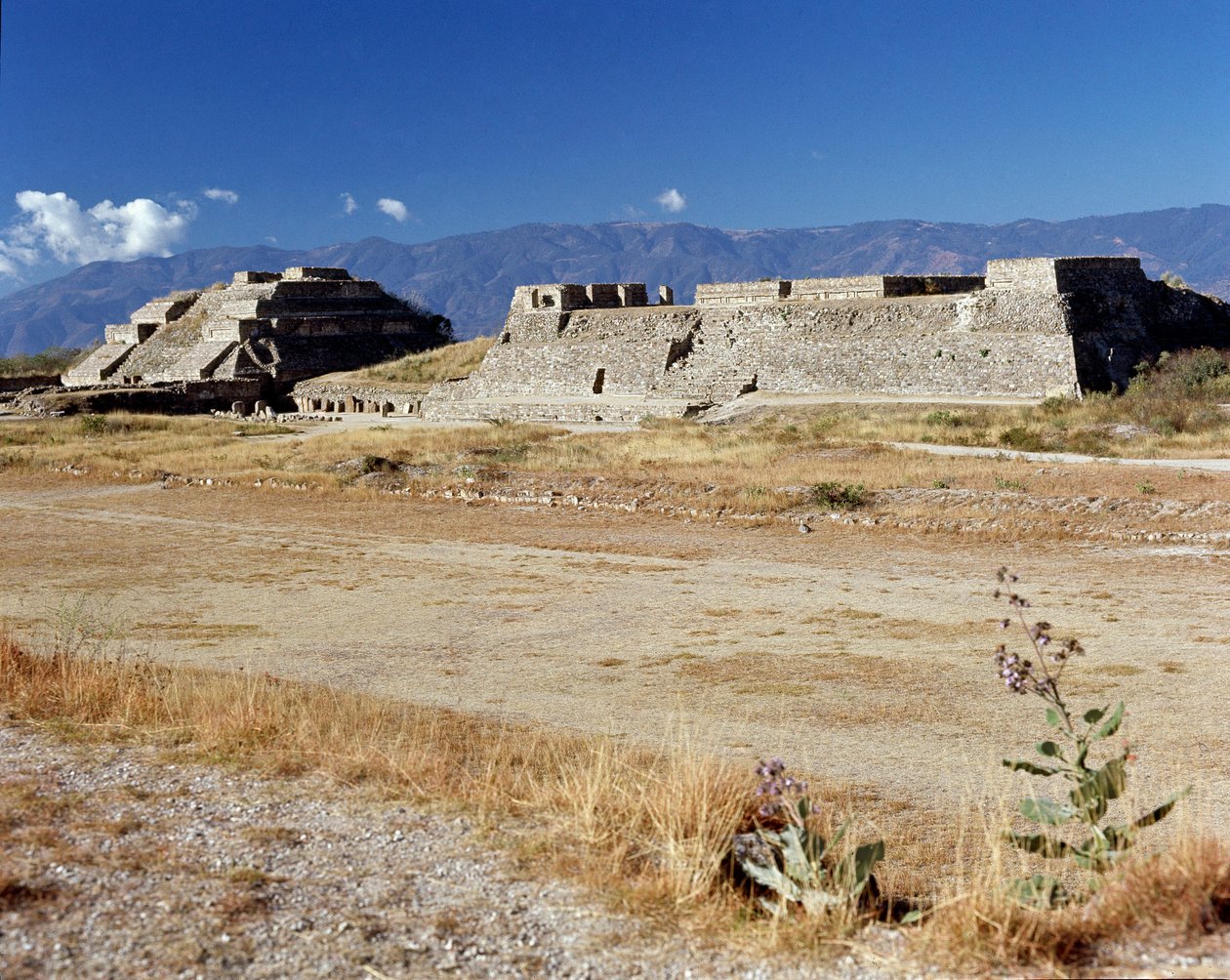 Näkymä pohjoiselle tasanteelle (500 eKr.-850 jKr.) tekijältä Zapotec Zapotec