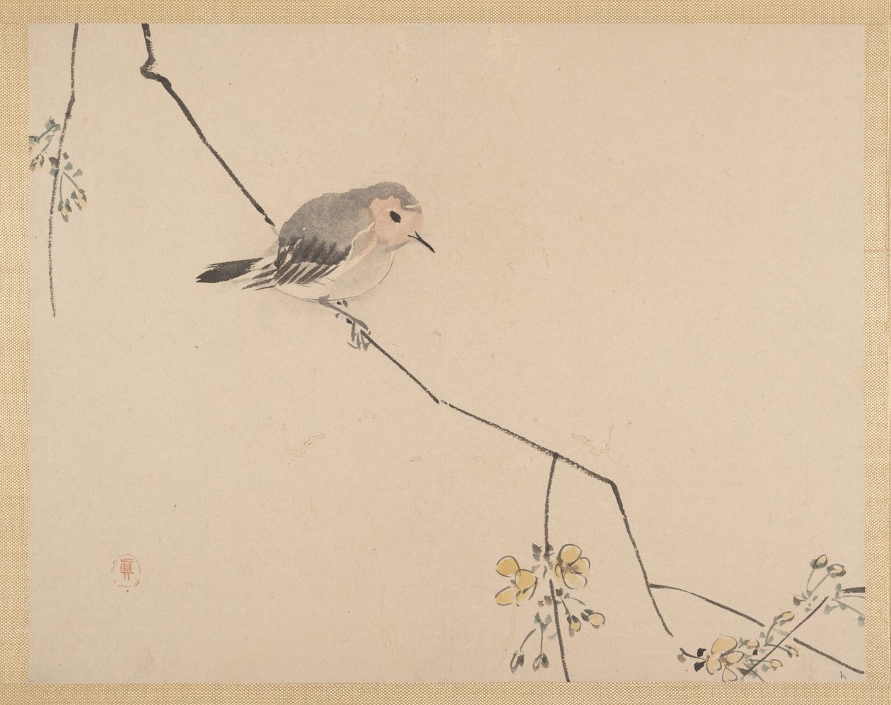  tekijältä Zeshin Shibata