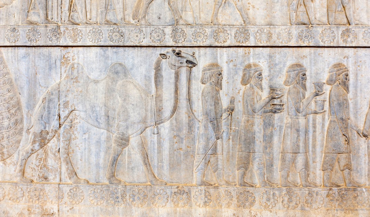 Achaemenidien muinainen reliefi; Parthialaisten valtuuskunta kamelin kanssa; Apadanan palatsi; arkeologinen kohde; muinainen persialainen kaupunki Persepolis; Unescon maailmanperintökohde; Farsin maakunta; Iran; Aasia tekijältä Frederick (attr. to) Barnard