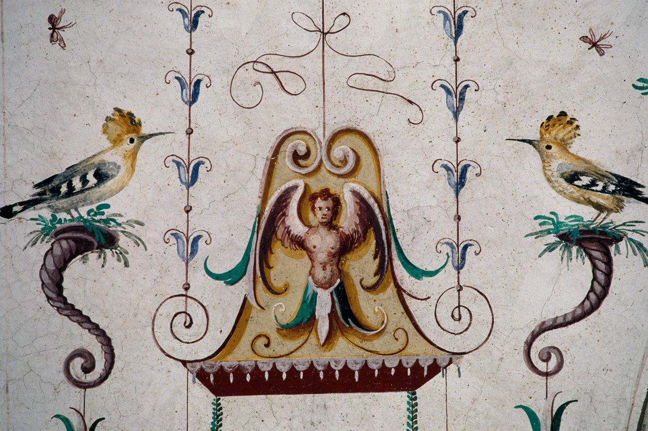 Linnut, yksityiskohta freskoista Grotesque Hallin holvissa (1500-luku), Mantan linna, Saluzzo, Piemonte, Italia tekijältä Georg Carl Heinrich Dollmann