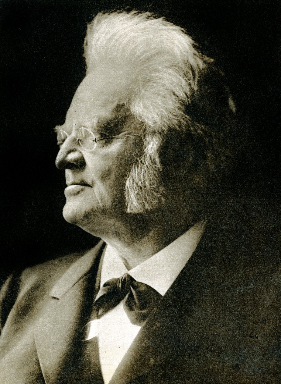 Bjornstjerne Bjornson (syväpaino) tekijältä Hippolyte Lalaise Devéria