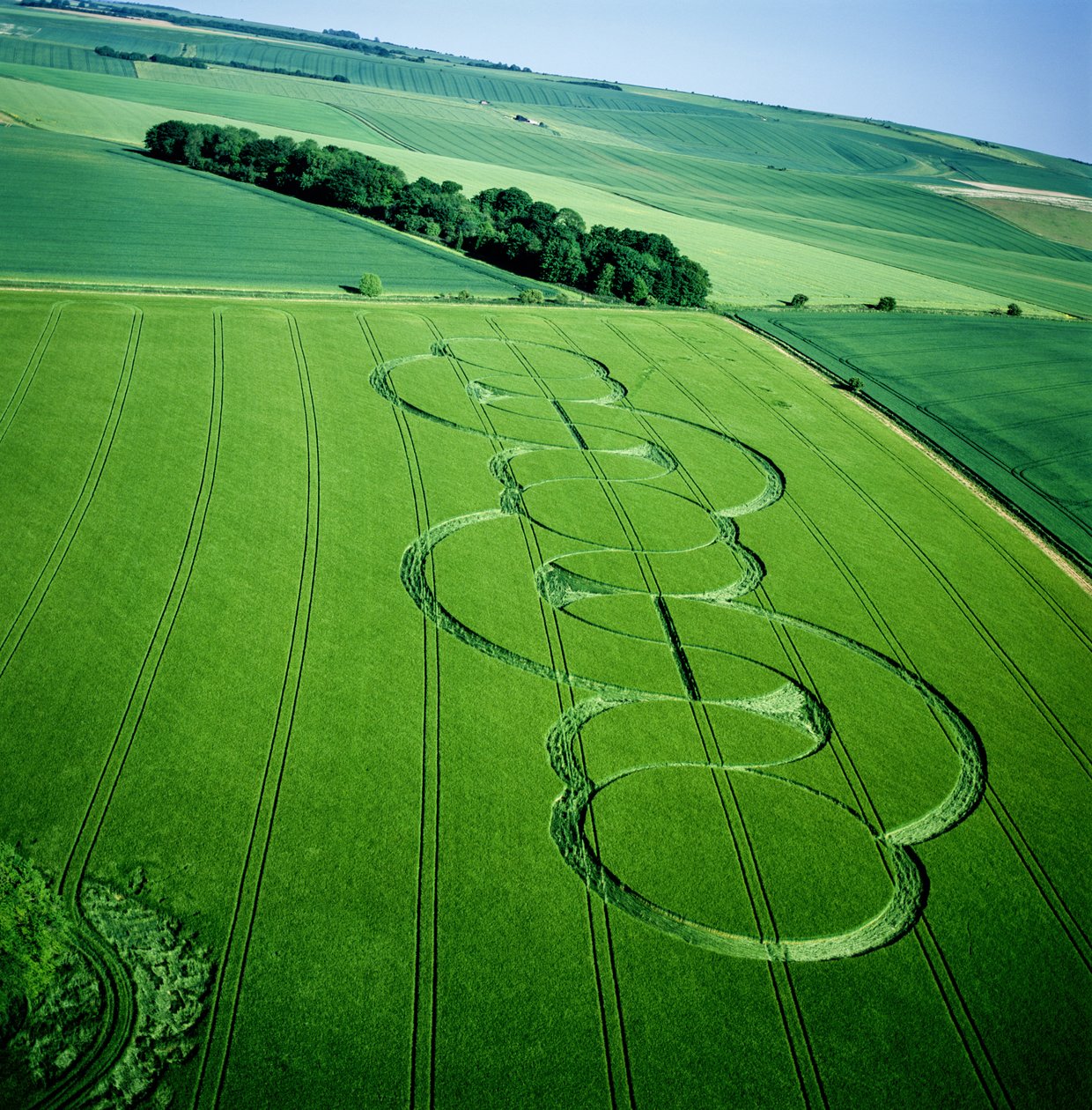 Viljaympyrä ohrapellolla, Beckhampton, Wiltshire, 5. kesäkuuta 2005 (ilmakuva) tekijältä Ferdinand Georg Waldmuller