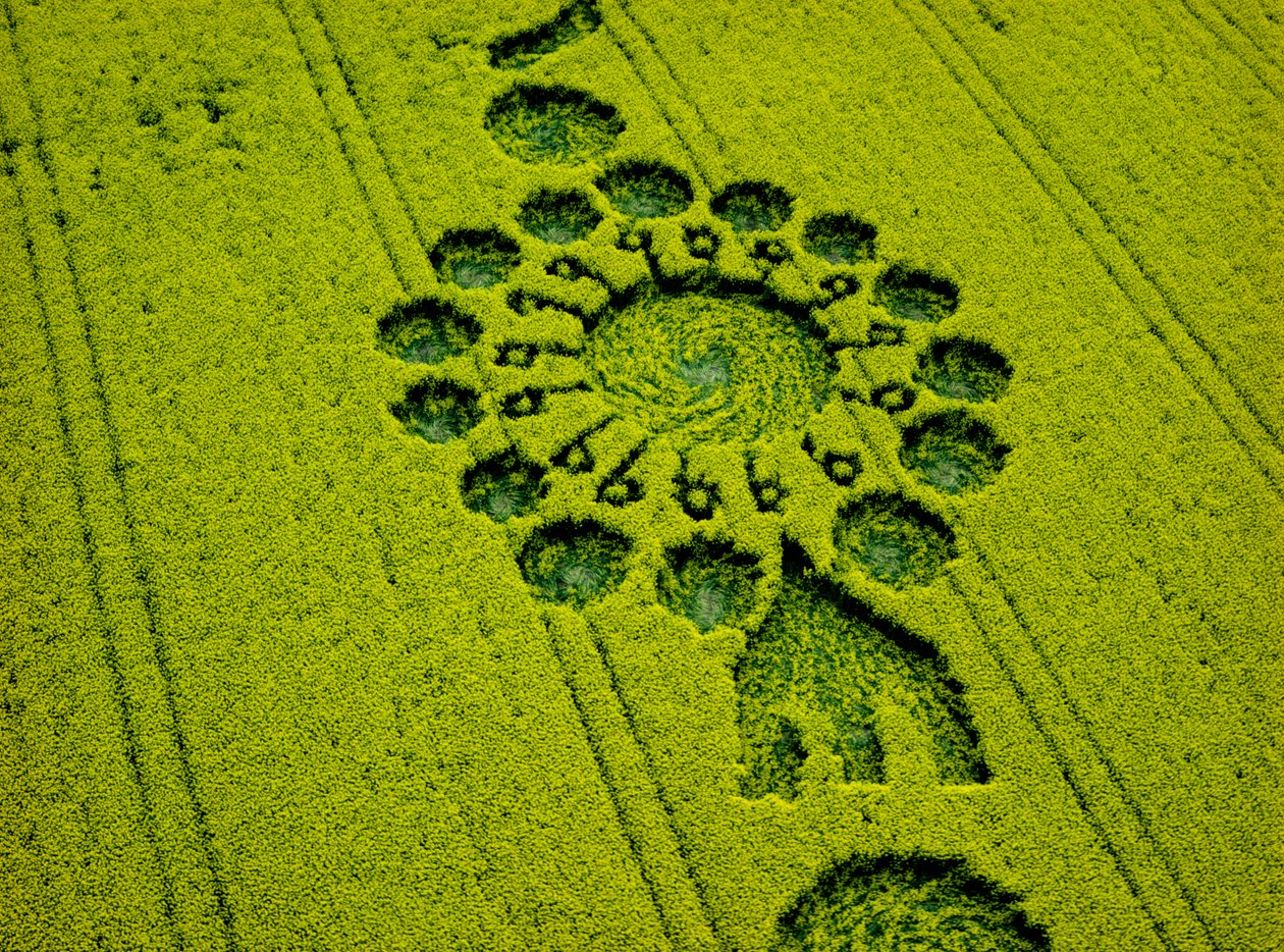 Viljaympyrä rapsipellolla, Milk Hill, Alton Priors, Vale of Pewsey, Wiltshire tekijältä Ferdinand Georg Waldmuller