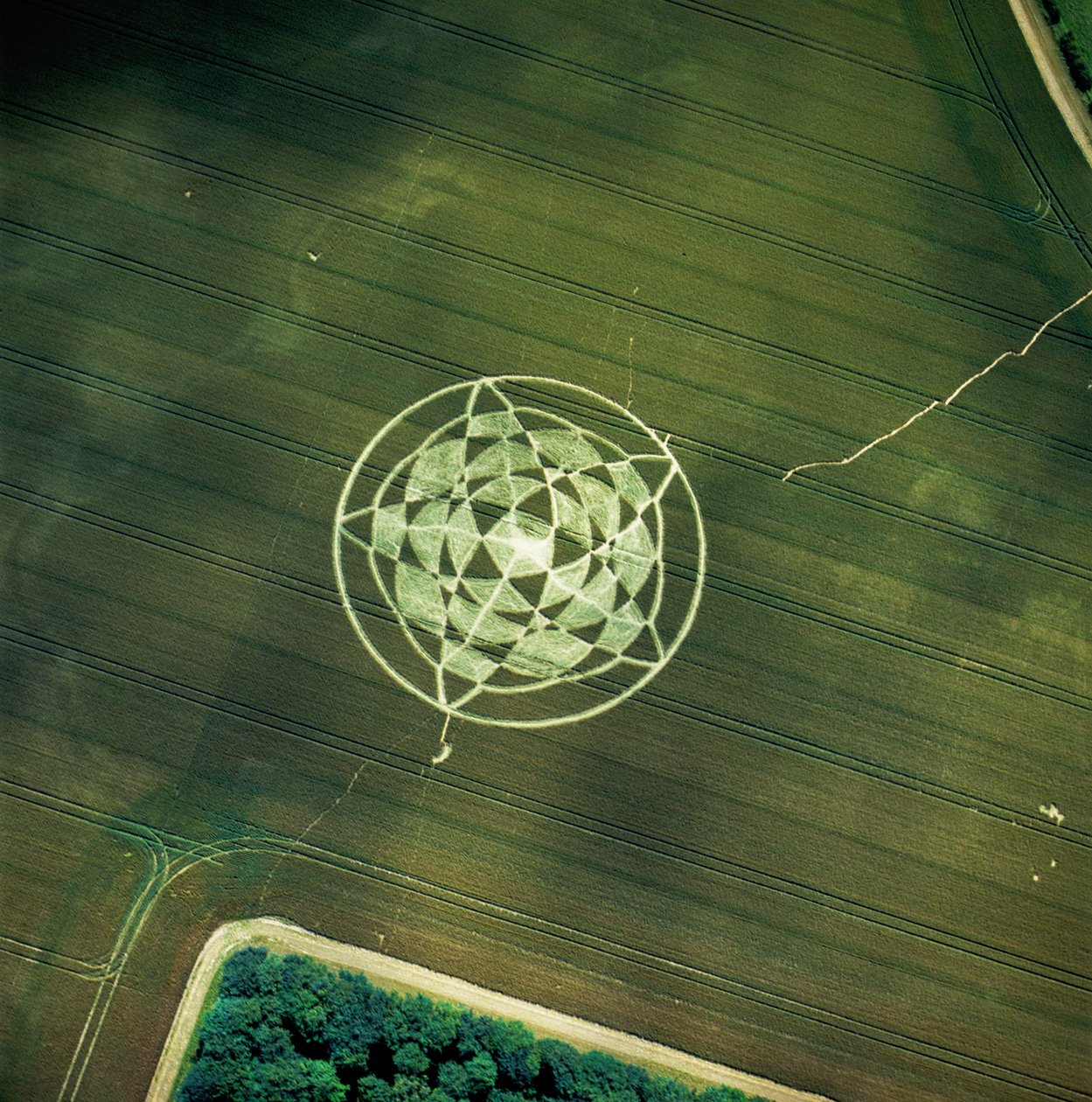 Viljaympyrä vehnäpellolla, Avebury Henge, Wiltshire, 22. kesäkuuta 2002 (ilmakuva) tekijältä Ferdinand Georg Waldmuller