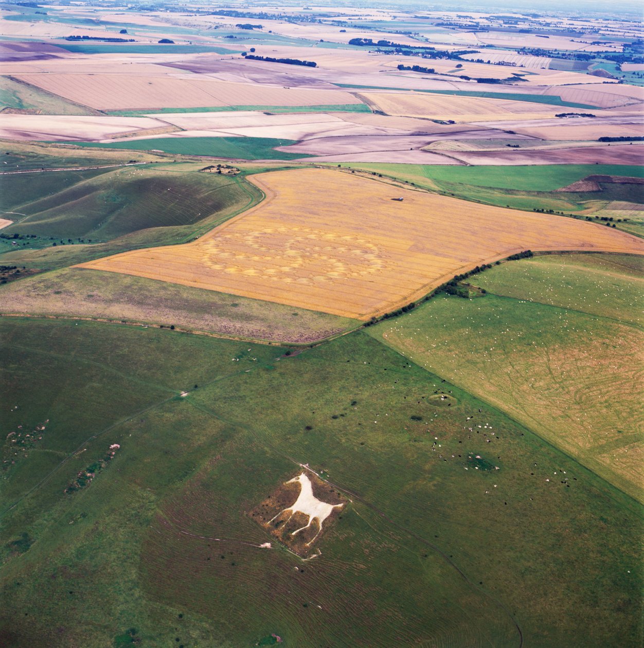 Viljaympyrä vehnäpellolla, Milk Hill, Alton Priors, Vale of Pewsey, Wiltshire tekijältä Ferdinand Georg Waldmuller