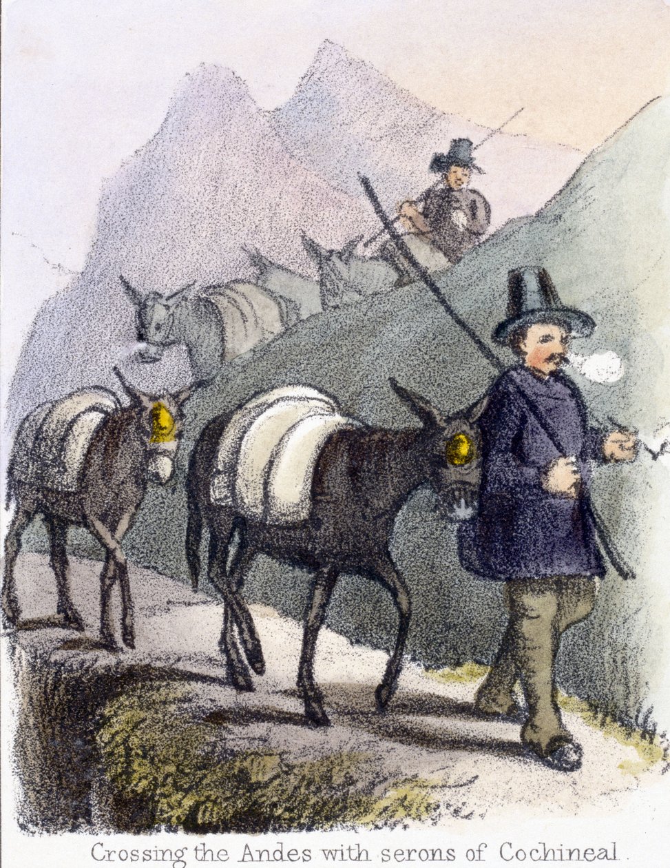 Andien ylitys Cochineal-seronien kanssa, n. 1845 tekijältä Frederick (attr. to) Barnard