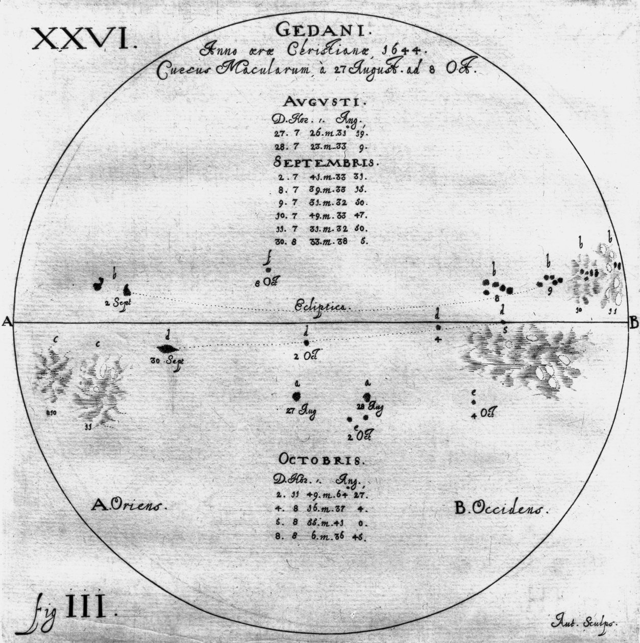 Piirustukset auringonpilkkuista, 27. elokuuta - 8. lokakuuta 1644 tekijältä Frederick (attr. to) Barnard