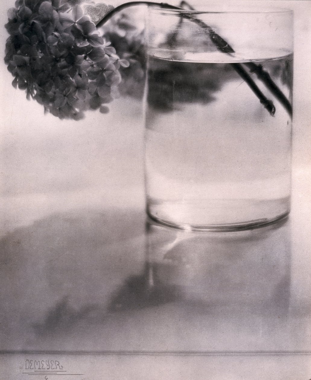 Hortensia, n 1907 tekijältä John Pardon