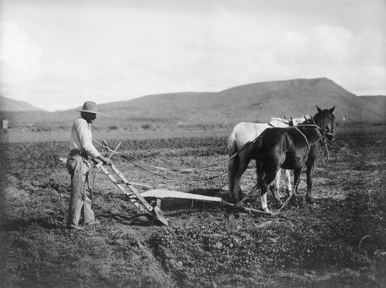 Intiaani kyntämässä maataan, Sacaton Indian Reservation, Arizona, n. 1909 (m/v kuva) tekijältä . .