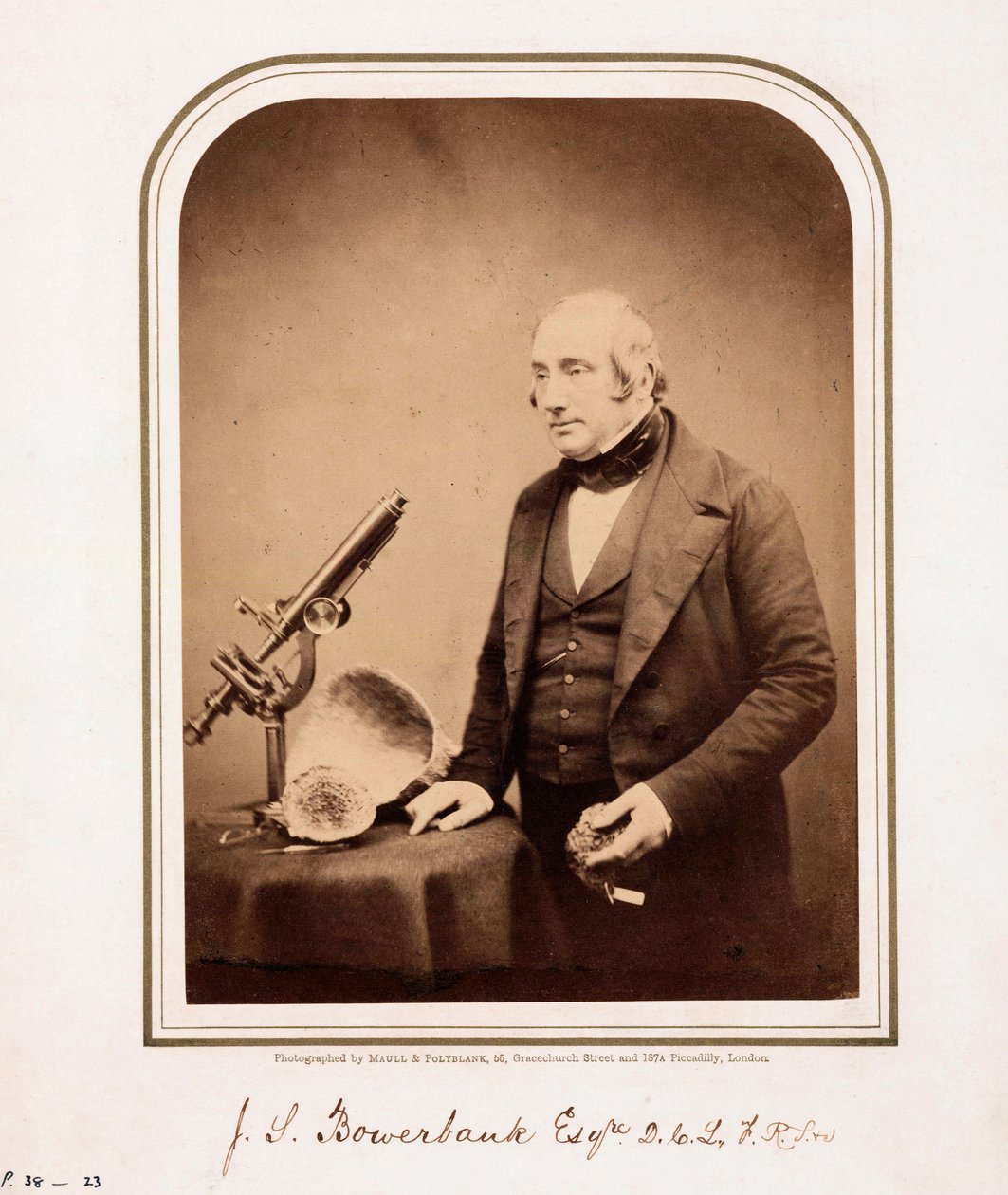 James Scott Bowerbank, brittiläinen geologi tekijältä Ferdinand Georg Waldmuller