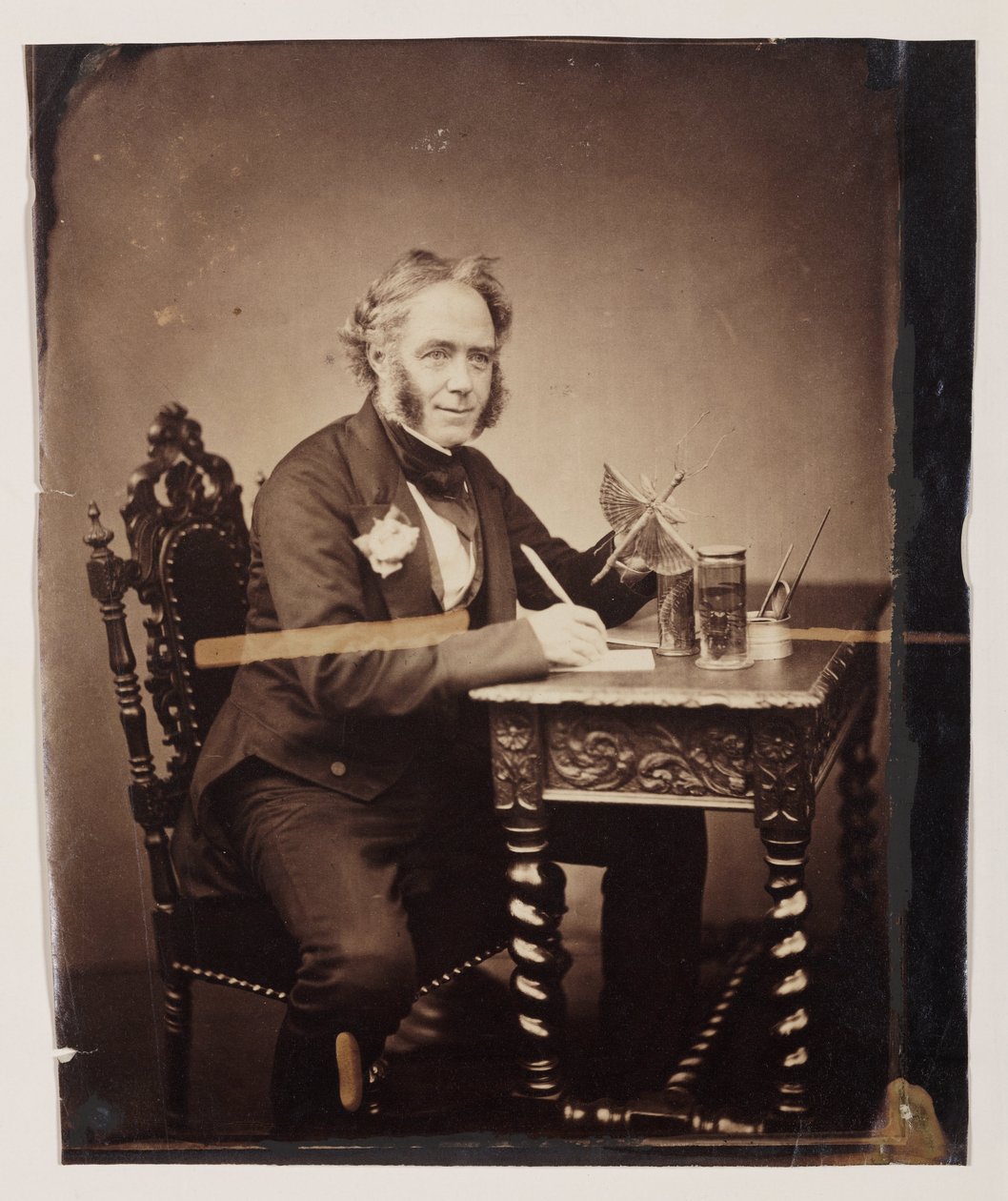 John Obadiah Westwood, englantilainen entomologi ja paleografi, n. 1850 tekijältä Ferdinand Georg Waldmuller