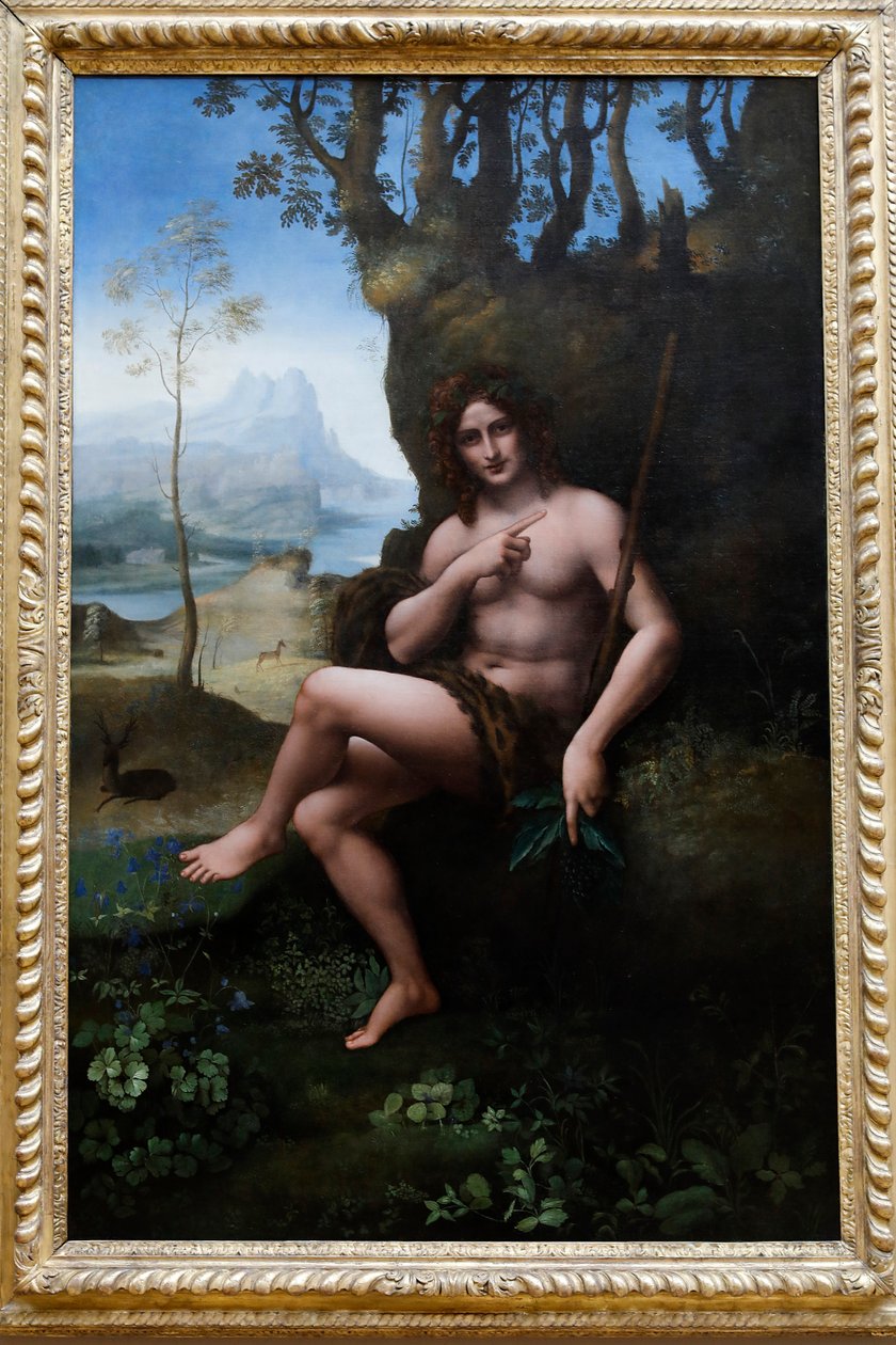 Louvre-museo, Pariisi, Ranska. Leonardo da Vincin työpaja, Francesco Melzi, Pyhä Johannes Kastaja, öljytaulu siirretty kankaalle, n. 1510-1520. tekijältä . .