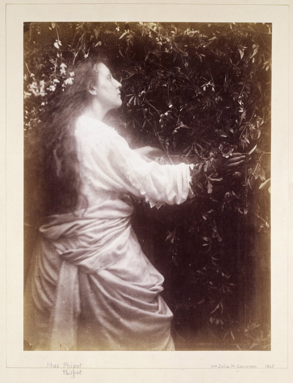 Mary Hillier, n. 1865 tekijältä John Pardon