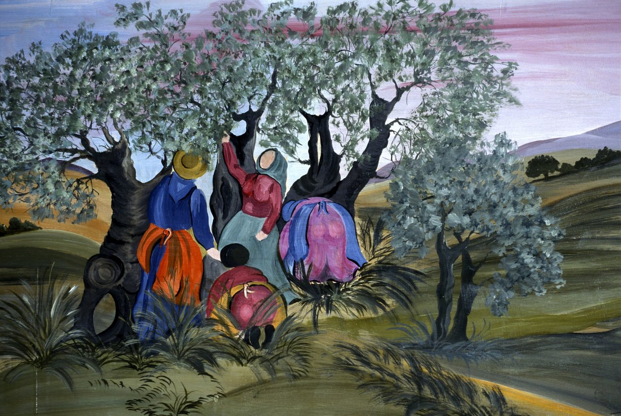 Oliivinpoiminta, Barbara Mencarellin naiivi, Mandoleto, Solomeo, Umbria, Italia tekijältä Henry Charles Fehr