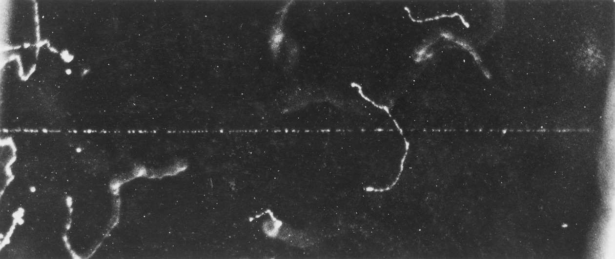 Particle Imaging, Cloud Chamber Nopean beetasäteen jälki, 1900-luvun alku tekijältä Ferdinand Georg Waldmuller