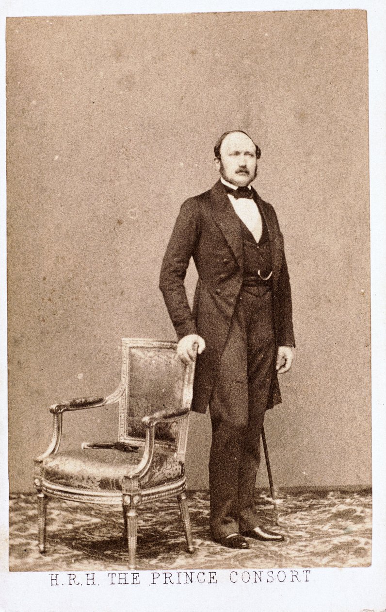 Prinssi Albert, kuningatar Victorian puoliso, n. 1860 tekijältä Frederick (attr. to) Barnard