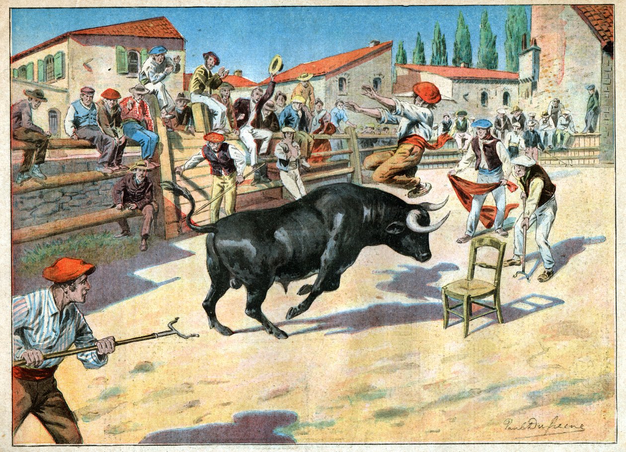 Taureaux en Camargue. Härkätaistelut Camarguessa. tekijältä John Pardon