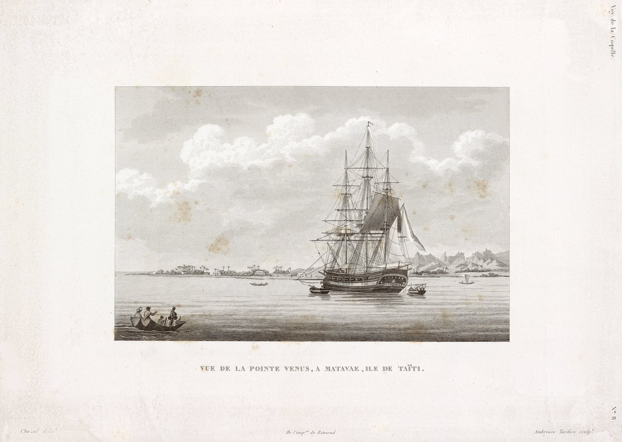"Coquille" Pointe Venuksella, Tahitin saarella tekijältä Frederick (attr. to) Barnard