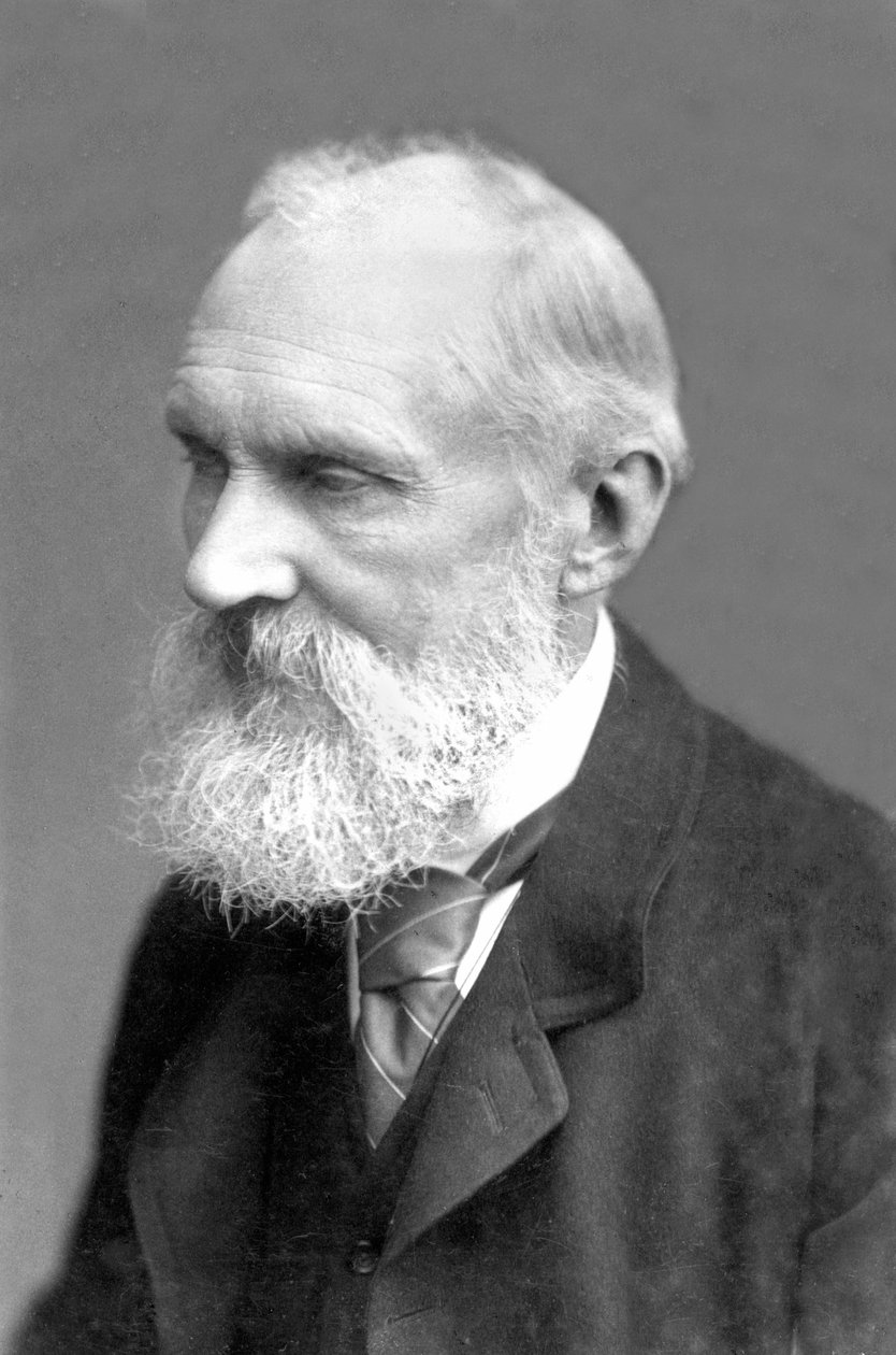 Iso-Britannia: William Thomson Kelvin tekijältä Frederick (attr. to) Barnard